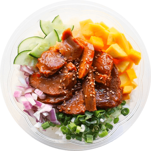 Poke Bowl Dish